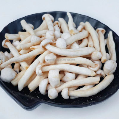 acheter Champignon végétal sain de casse-croûte du champignon organique naturel VF Shimeji de hêtre blanc online manufacture